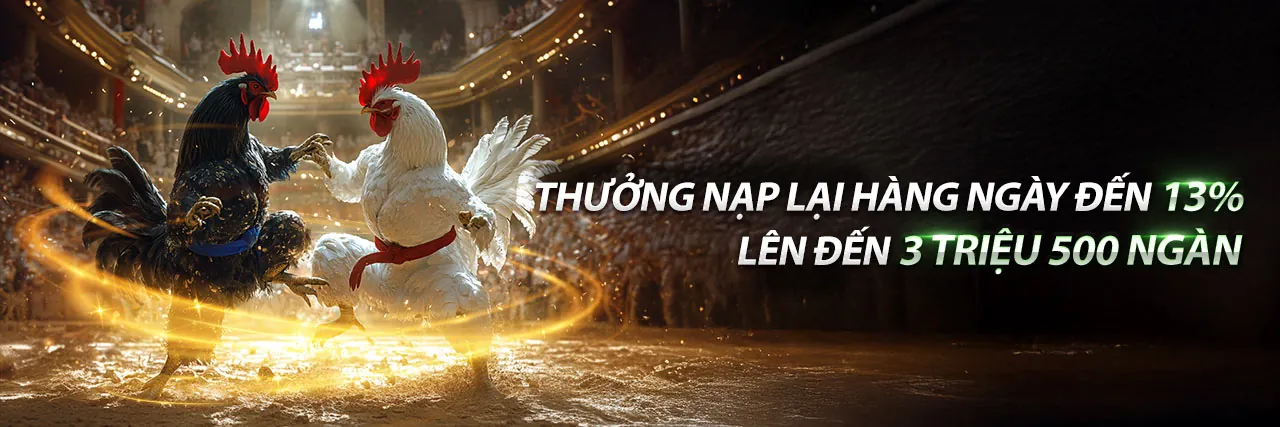 Đá gà k8vn nhà cái trực tuyến