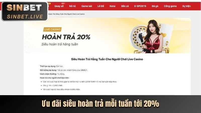 Cập nhật nền tảng k8vn nhà cái